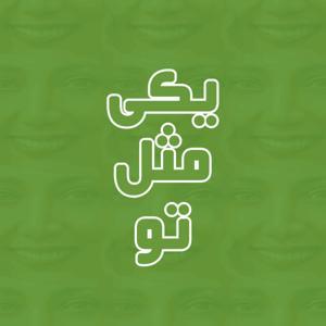 Yeki Mesle To  |  یکی مثل تو by Amitis Nouroozi