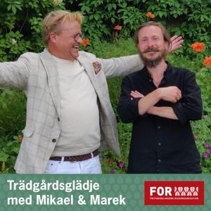 Trädgårdsglädje - Mikael & Marek pratar trädgård by Mikael S Andersson och Marek Rolenec