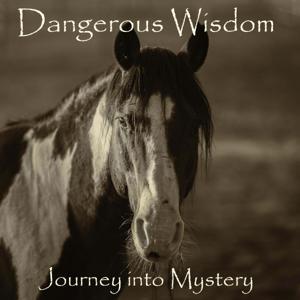 Dangerous Wisdom by nikos patedakis