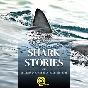 Shark Stories by The Real Network