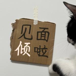 见面倾啦 by 鸡翅不生气