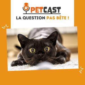 La question pas bête ! 🐾🧐 by La SPA