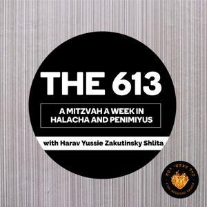 THE 613 by KMH - Khal Mevakshei Hashem