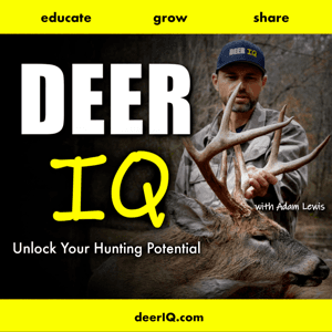 Deer IQ by Adam Lewis