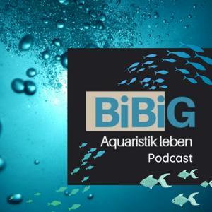 BiBiG - Aquaristik leben by Björn Bock-Göller