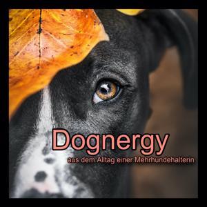 Dognergy - aus dem Alltag einer Mehrhundehalterin by Sarah Kopmann