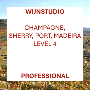 Wijn Professional – WSET level 4 by Jeroen Bronkhorst