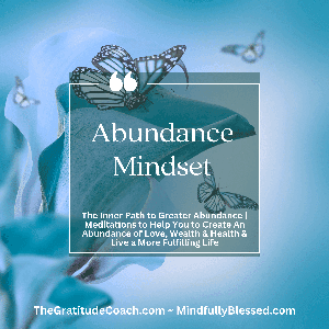 Abundance Mindset by Leslie D Riopel