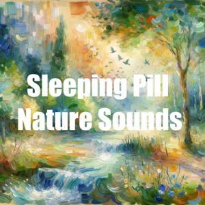 Sleeping Pill - Nature Sounds by Inception Point Ai