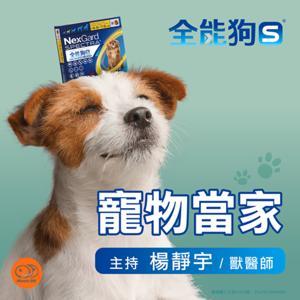 全能狗S 寵物當家 by News98