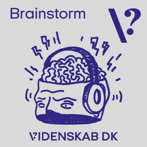 Brainstorm by Videnskab.dk