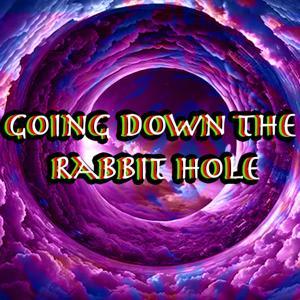 Down The Rabbit Hole by Tom Mason