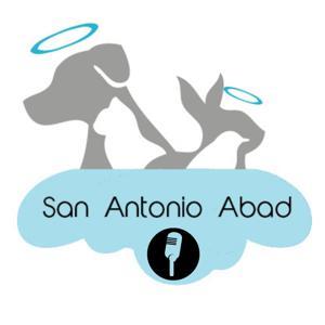 Podcast Mascotero - Mundo animal by San Antonio Abad - Mascotas