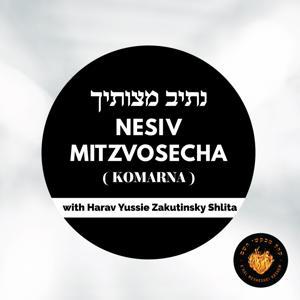 Nesiv Mitzvosecha [Komarna] by KMH - Khal Mevakshei Hashem
