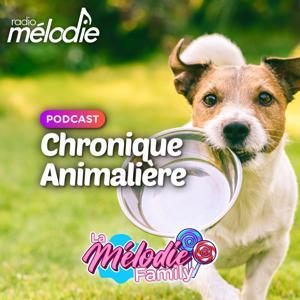 Chronique Animalière - Radio Mélodie by Radio Mélodie