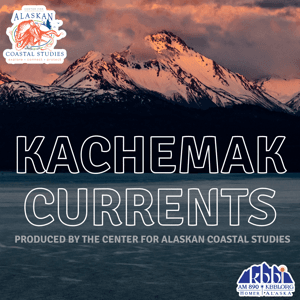 Kachemak Currents by KBBI