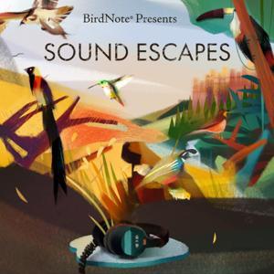 Sound Escapes by BirdNote