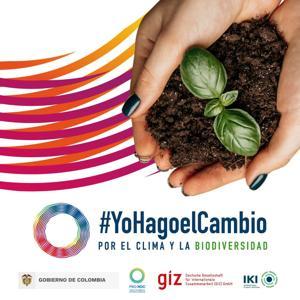 Yo hago el cambio by Akorde Media