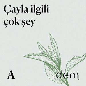 Çayla ilgili çok şey by Aposto Radyo