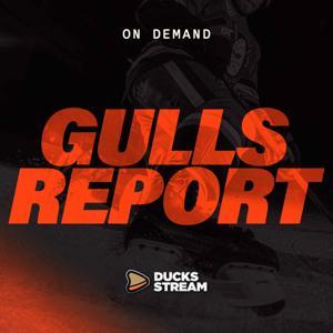 Gulls Report by Ducks Stream