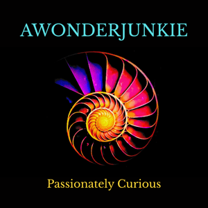 AWONDERJUNKIE by Ryan Anderson