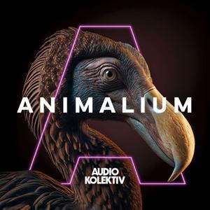 Animalium by Audio Kolektiv