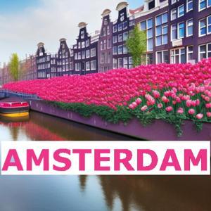 IN AMSTERDAM - CONVERSATIONAL DUTCH WITH ENGLISH SUBTITLES by DR. CLAUDIA VAN KLEIN