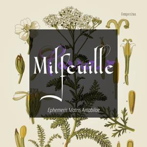Milfeuille by NRE.FM - Nouvelles Radios Euphoriques