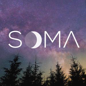 Sleep & Relaxation Music to Calm the Nervous System by SOMA Sound