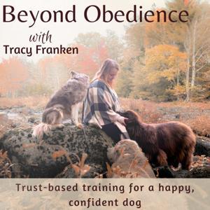 Beyond Obedience | Dog Training, Dog Behaviour Training, Scared Dogs, Reactive Dogs by Tracy Franken: Retired Vet Tech , Dog Trainer, Dog Lover, Dog Bond Specialist 🐾