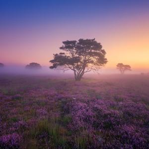 【陕北说书】专辑大全 by 曲艺大剧院