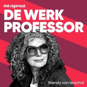 De Werkprofessor by De Werkprofessor