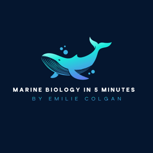 Marine Biology in 5 Minutes by Emilie Colgan
