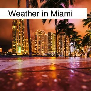 Weather in Miami by Inception Point Ai