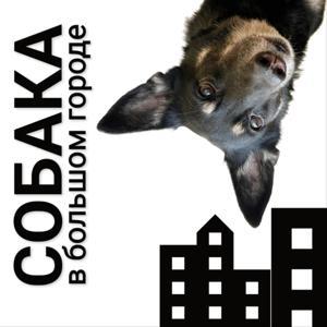 Собака в большом городе by Ника Кидман