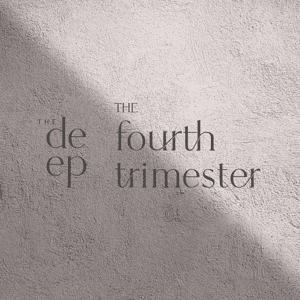 The Fourth Trimester by Zoe Marshall