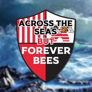 Across the Seas but Forever Bees - An American Brentford Podcast by Tim Searls