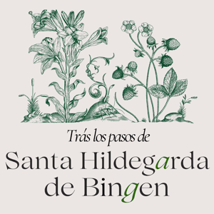 Trás los pasos de Santa Hildegarda de Bingen by JuanDiegoNetwork.com