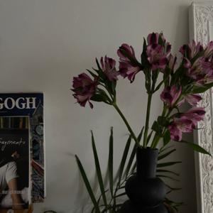 Afiyah Talk by Afiyah Talk