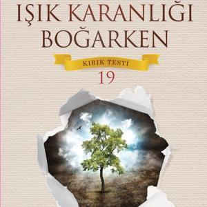 IŞIK KARANLIĞI BOĞARKEN - KIRIK TESTİ 19 by Süreyya Yayınları