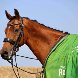 All Aboard the Racehorse by Louise Robson aka Thoroughbred Dressage