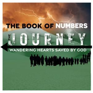 The Book of Numbers: Wandering Hearts Saved by God by Crossroads Pastors