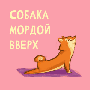 Собака мордой вверх by Юлия Воронина