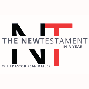 The New Testament in a Year by Sean Bailey