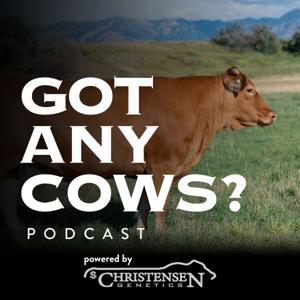 Got Any Cows? by Seth Christensen
