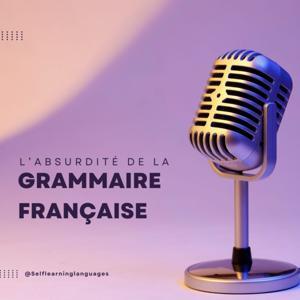 L'absurdité de la grammaire française ! by Selflearning Languages, Cécile LE DRÉAU