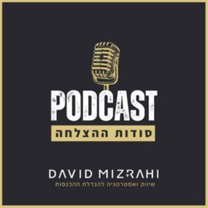 סודות ההצלחה by דוד מזרחי