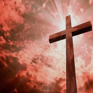 Cross Training by Matt's Notes