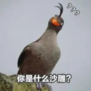 沙雕段子|生活是个囧tail|1分钟笑话 by 曲艺大剧院