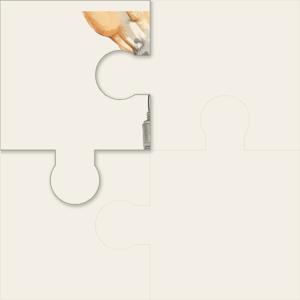 Equestrian Adult Amateur by EquestrianAdultAmateur